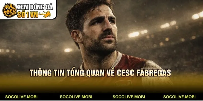 Thông tin tổng quan về Cesc Fàbregas 